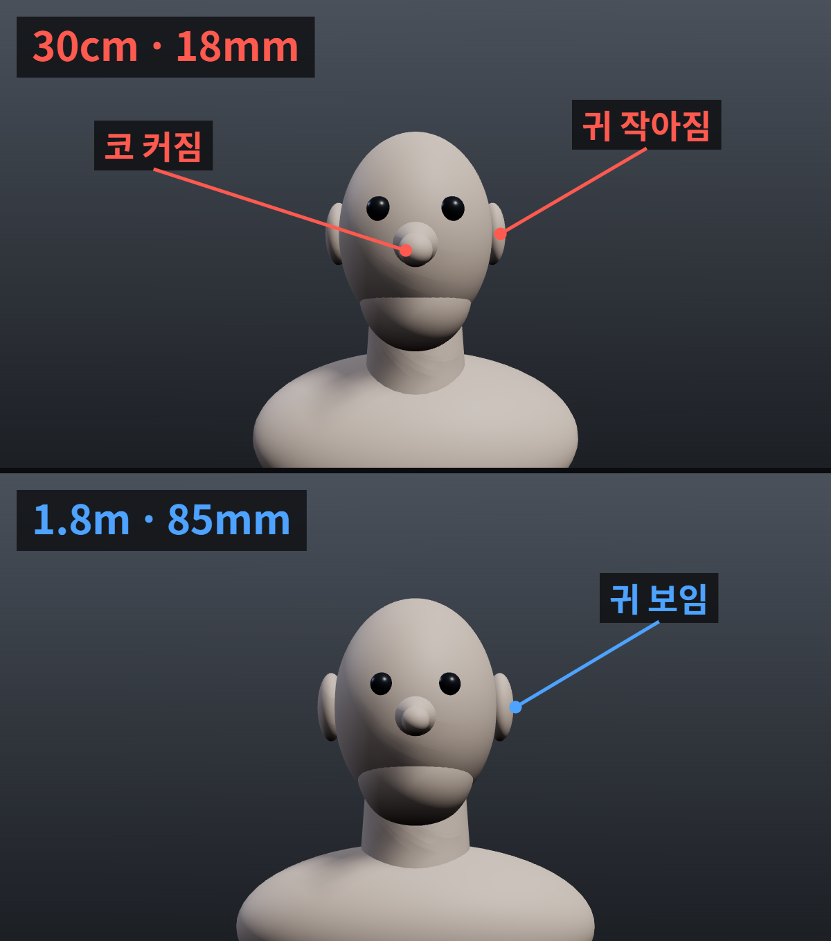 마야 카메라에서 광각으로 얼굴이 길어질 때: 렌즈보다 거리 확인 2 카메라를 얼굴에서 30cm와 3m 거리에 두었을 때 코와 귀의 상대적 크기 비교
